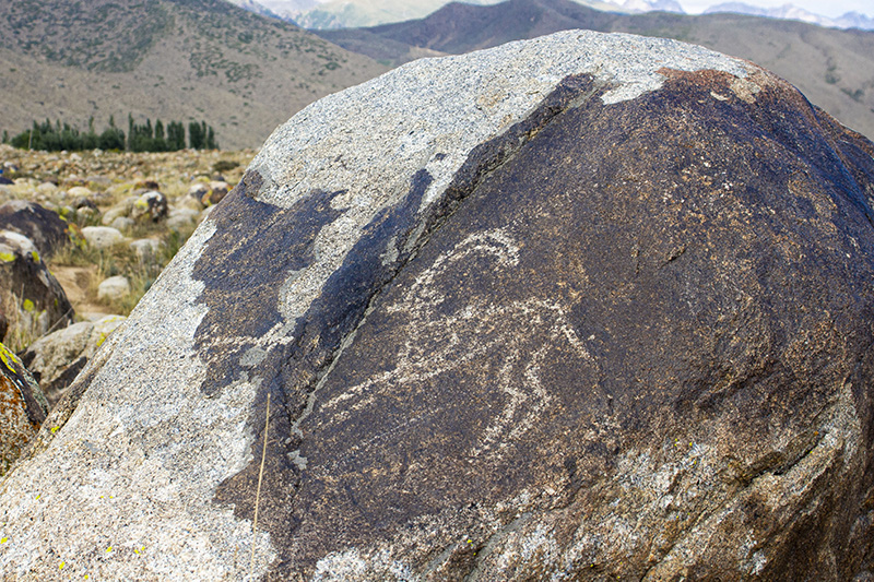 rock with petroglyphs